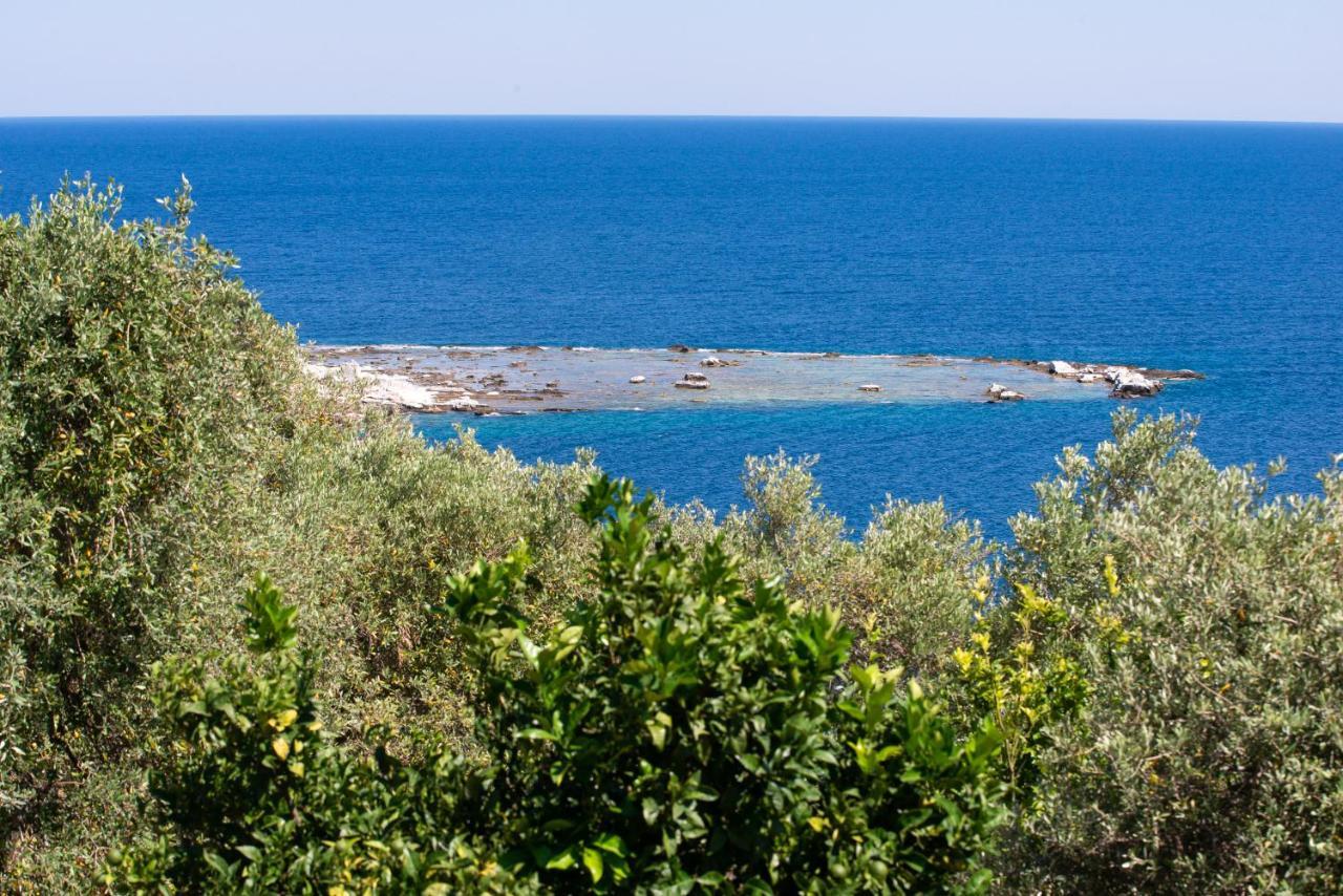 Archodissa Villa Thimonia المظهر الخارجي الصورة